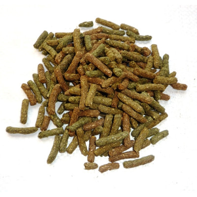 Cavia Complete - Versele Laga