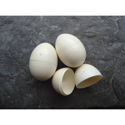 Dove/Pigeon Egg - hollow