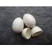 Dove/Pigeon Egg - hollow