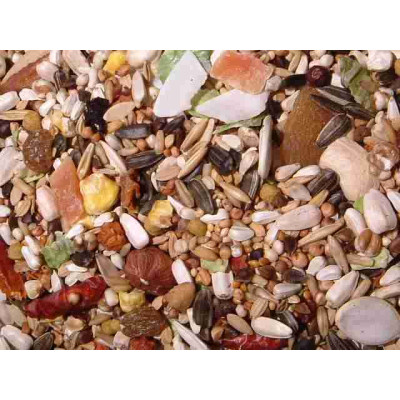 Fruit Burst - Parrot Mix