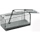 Albi Trap - Single Mouse Albi Trap - Single Mouse