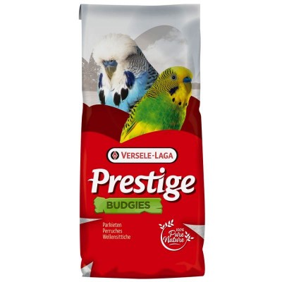 Budgie Continental - Prestige Budgie Versele Laga Budgie Continental - Prestige Budgie Versele Laga