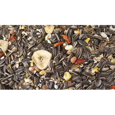 Parrot Fruit Mega - Versele Laga