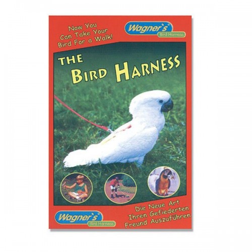 Bird Harness