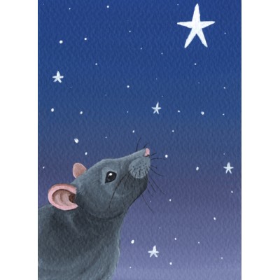 Star Gazing Star Gazing