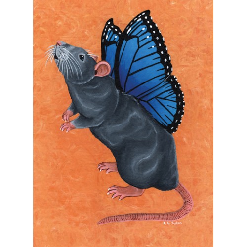 Butterfly-Rat - Blues