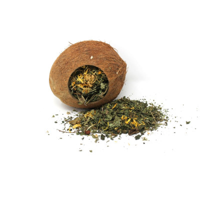 Coconut Shell - Treat and Hide