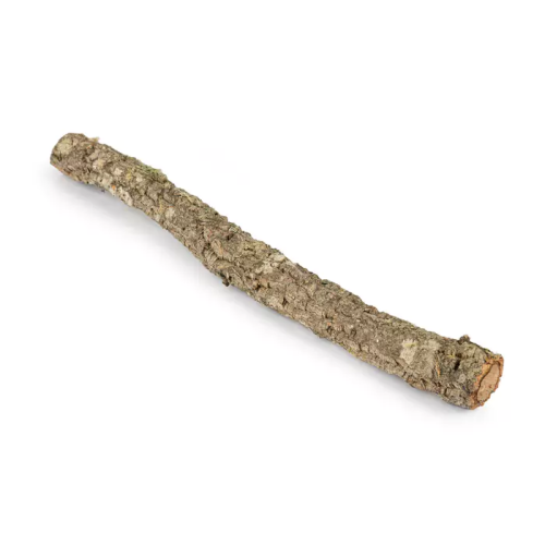 Cork Branch Cork Branch