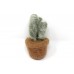 Felt Friends - Cactus