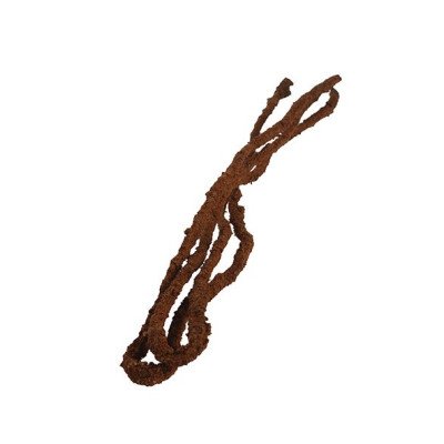 Tropical Vine - brown