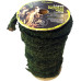 Tropical Vine - green