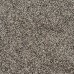 Basil Seed