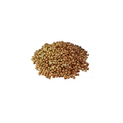 Coriander Seed