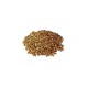 Coriander Seed