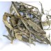 Maize Leaf 