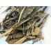 Maize Leaf 
