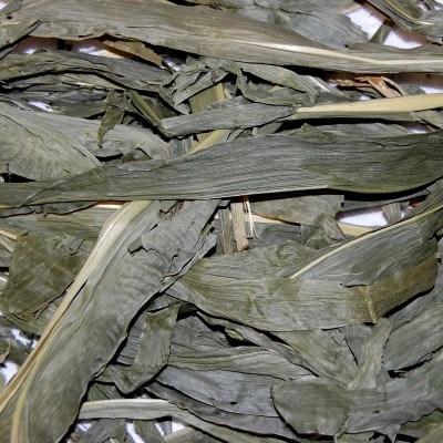 Maize Leaf 