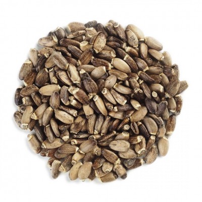 Milk Thistle Seed