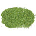 Parsley (English Flat Leaf) - Chopped