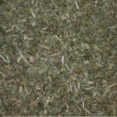 Plantain - Fine Cut Leaves and Plant