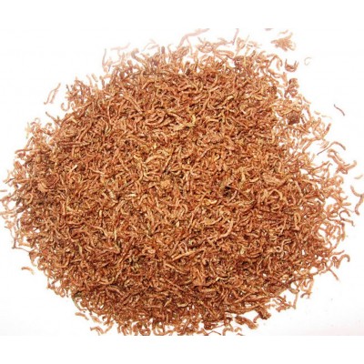 Bloodworms - Dried