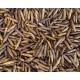 Calci Worms - Dried
