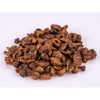 Silkworm Pupae - Dried