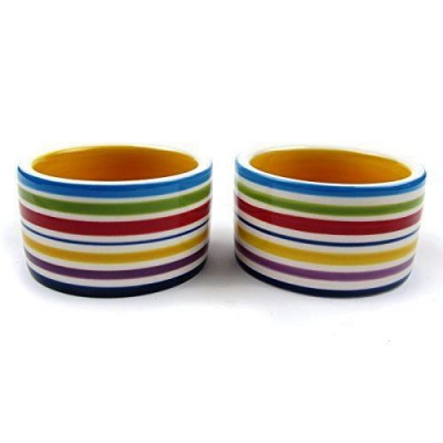 Ceramic Dish - Coloured Stripe