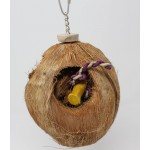 Coconut - Filled