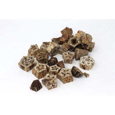 Mahogany Bites Mahogany Bites