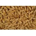 Barley - Flaked (micronized)