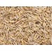 Oats - Whole