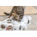 Cardboard Maze - Cat Toy