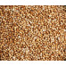 Coriander Seed