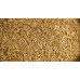 Cumin Seed