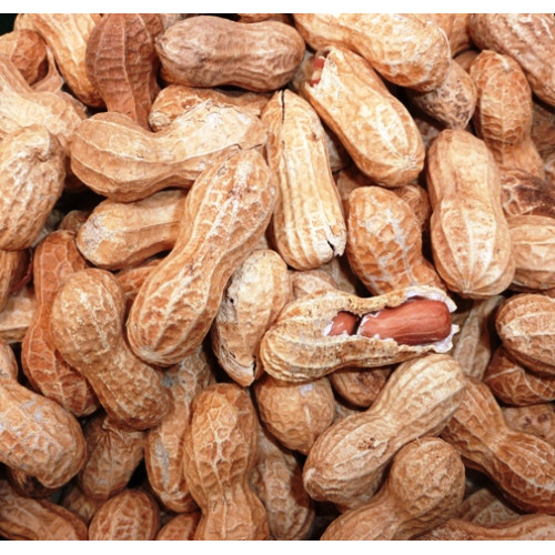 Peanuts Roasted in Shell