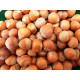 Hazelnuts - in shell Hazelnuts - in shell