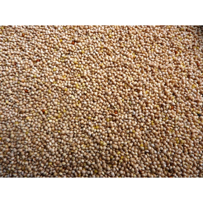 Millet - White