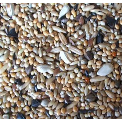 Neophema Mixture