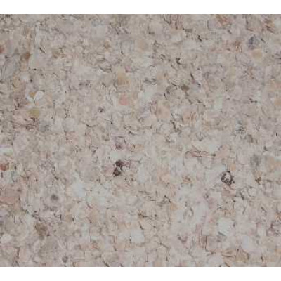 Oystershell - Fine Oystershell - Fine