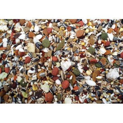 Super Brunch - Parrot Mix